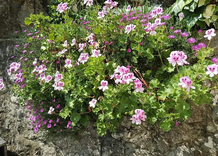 Apartament Lori Lovran