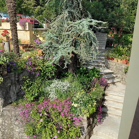 Lori Apartman *